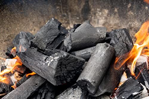 Premium Charcoal Export Guide: Quality Standards &amp; Requirements